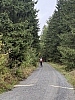 image00019